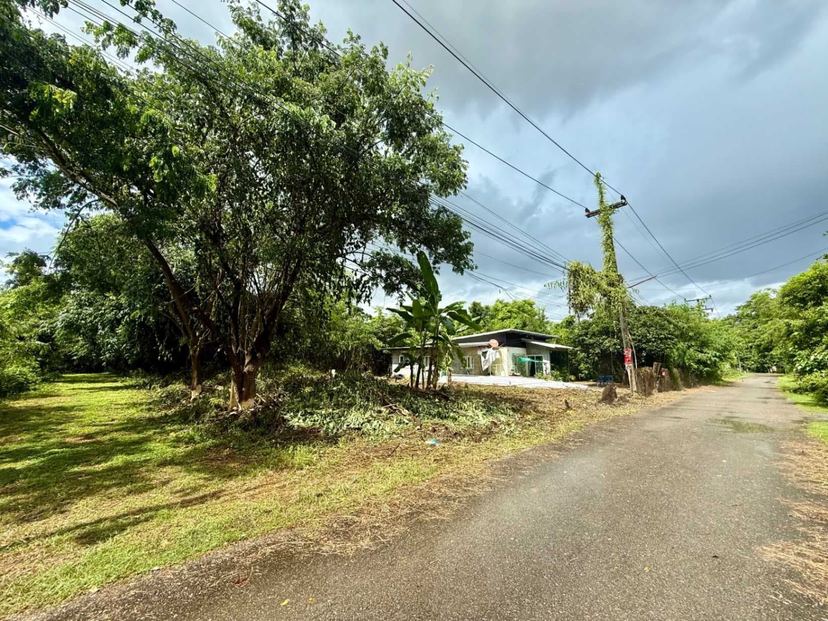 ขายที่ดินแปลงมุม 107 ตร.ว.ทำเลศักยภาพ ตรงข้ามสวนพฤกษศาสตร์ทวีชล จ.เชียงใหม่