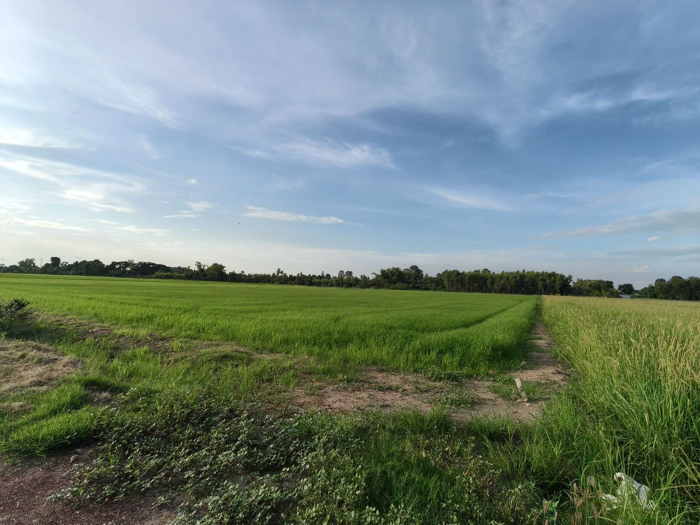 ที่ดินแปลงสวยเนื้อที่8 ไร่กว่า ใกล้ม.นเรศวร