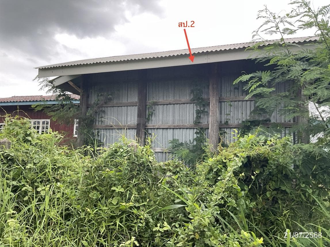 ขายบ้านเดี่ยว หนองสังข์ อรัญประเทศ สระแก้ว 4 ห้องนอน พื้นที่ใช้สอย 180.25 ตร.ม. ทำเลศักยภาพ