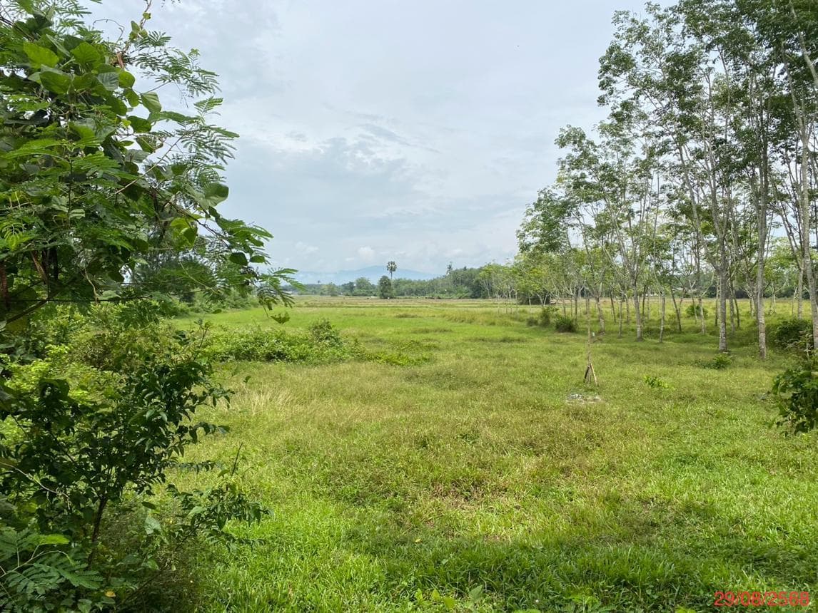 ขายที่ดินเปล่า ควนลัง หาดใหญ่ สงขลา เนื้อที่ 85 ตร.ว. ทำเลศักยภาพ เหมาะสร้างบ้านหรือลงทุน