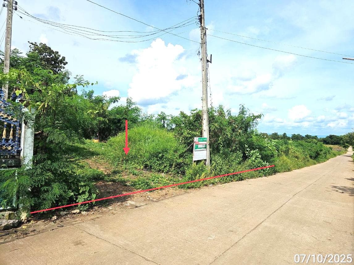 ที่ดินเปล่า 50 ตร.ว. ทำเลสวย ตำบลสระประดู่ วิเชียรบุรี เพชรบูรณ์ เหมาะสำหรับสร้างบ้านพักอาศัย