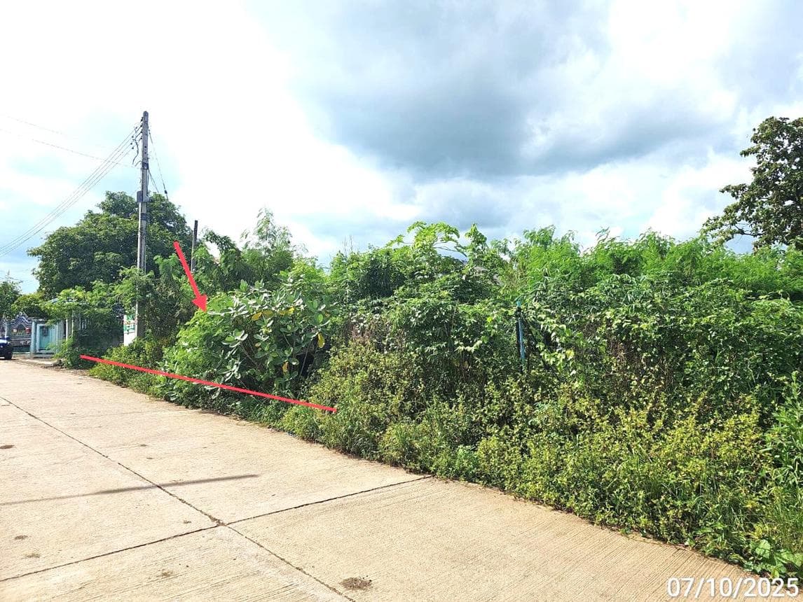 ที่ดินเปล่า 50 ตร.ว. ทำเลสวย ตำบลสระประดู่ วิเชียรบุรี เพชรบูรณ์ เหมาะสำหรับสร้างบ้านพักอาศัย