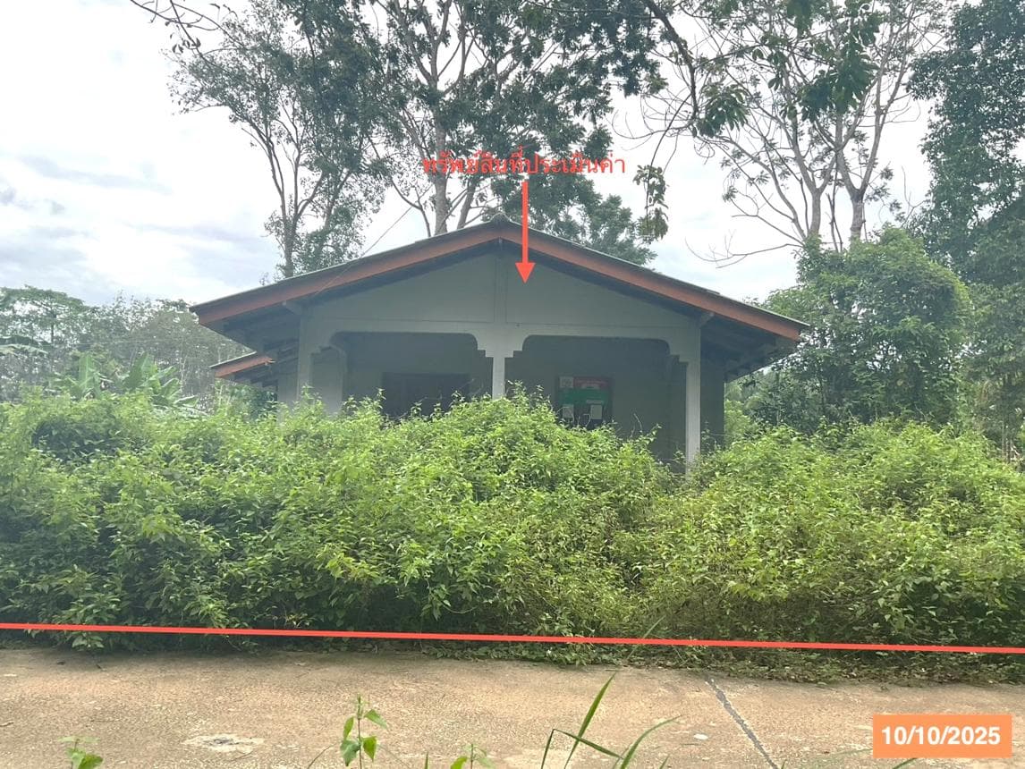 บ้านเดี่ยว บ้านตูล ชะอวด นครศรีธรรมราช 1 ห้องนอน 1 ห้องน้ำ พื้นที่ 63 ตร.ม. บนที่ดินกว้างขวาง 49.8 ตร.ว. ทำเลสงบ บรรยากาศเป็นส่วนตัว ราคาพิเศษเพียง 7.38 แสน