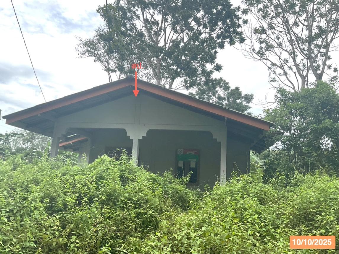 บ้านเดี่ยว บ้านตูล ชะอวด นครศรีธรรมราช 1 ห้องนอน 1 ห้องน้ำ พื้นที่ 63 ตร.ม. บนที่ดินกว้างขวาง 49.8 ตร.ว. ทำเลสงบ บรรยากาศเป็นส่วนตัว ราคาพิเศษเพียง 7.38 แสน
