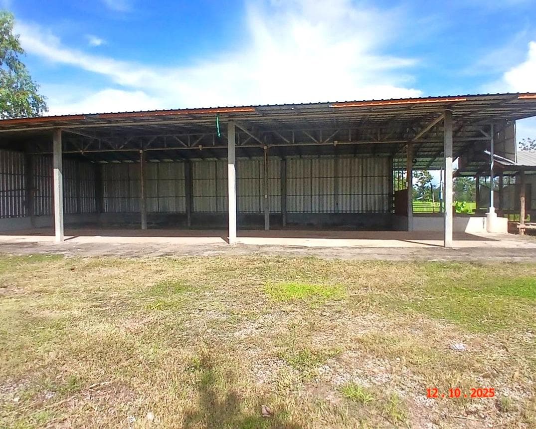 โกดัง บ้านผึ้ง เมืองนครพนม พื้นที่ใช้สอย 156.25 ตร.ม. บนที่ดิน 10 ตร.ว. ทำเลดีใกล้แหล่งชุมชนและเส้นทางขนส่งหลัก ราคาพิเศษ 2.11 ล้าน
