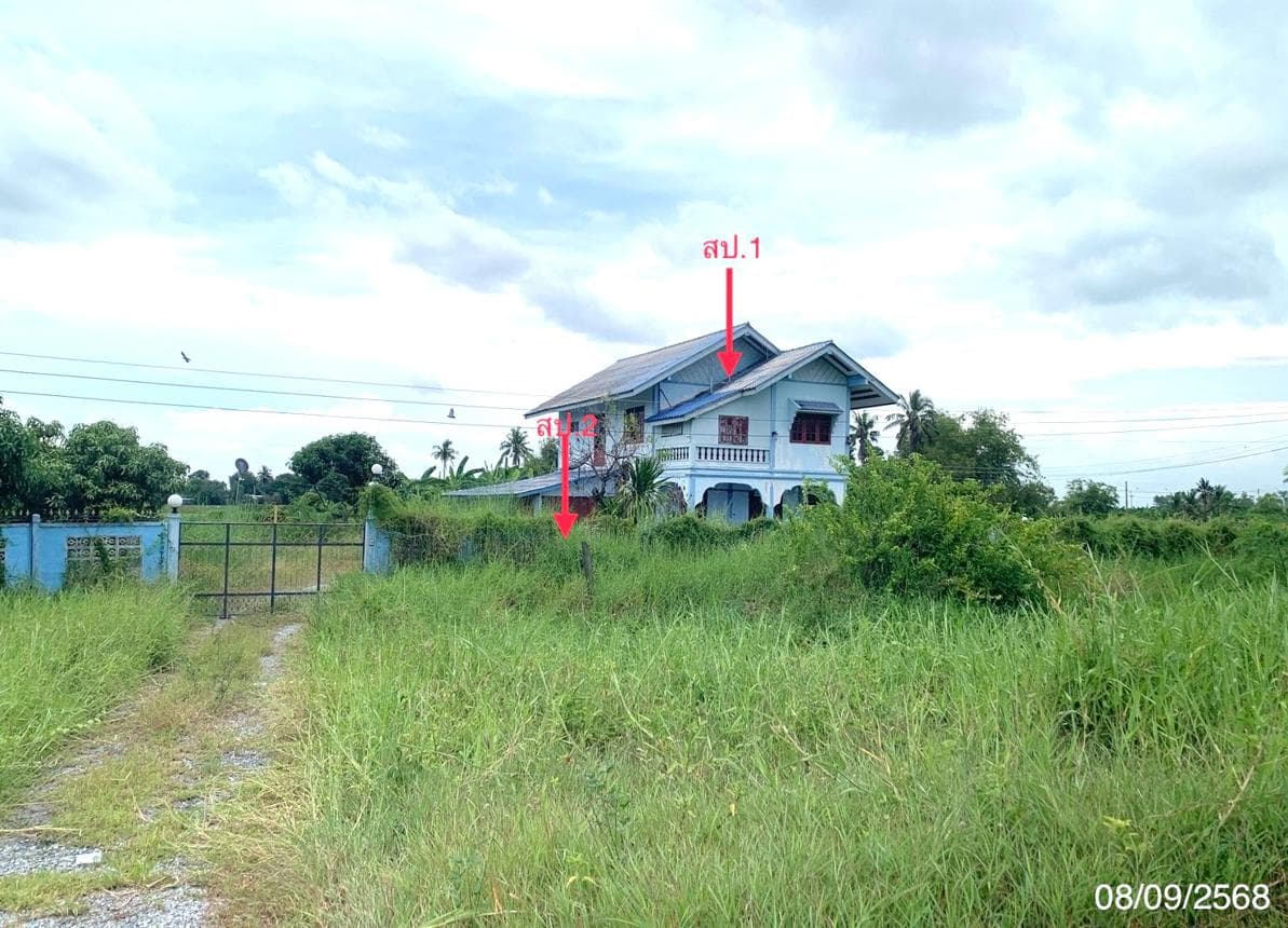 บ้านเดี่ยว มดแดง ศรีประจันต์ สุพรรณบุรี 2 ห้องนอน 2 ห้องน้ำ พื้นที่ใช้สอยกว้างขวางพิเศษ 287 ตร.ม. บนที่ดิน 49 ตร.ว. ทำเลสงบ บรรยากาศร่มรื่น ราคาพิเศษ 3.31 ล้าน