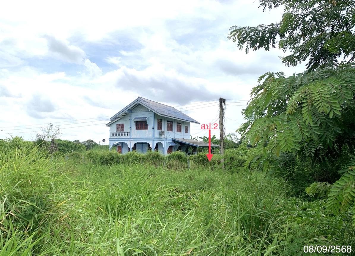 บ้านเดี่ยว มดแดง ศรีประจันต์ สุพรรณบุรี 2 ห้องนอน 2 ห้องน้ำ พื้นที่ใช้สอยกว้างขวางพิเศษ 287 ตร.ม. บนที่ดิน 49 ตร.ว. ทำเลสงบ บรรยากาศร่มรื่น ราคาพิเศษ 3.31 ล้าน