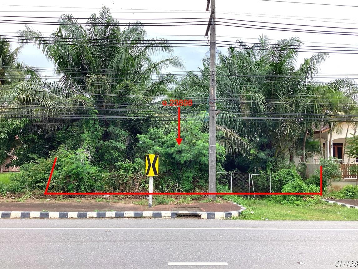 ขายที่ดิน พงศ์ประศาสน์ บางสะพาน ประจวบคีรีขันธ์ เนื้อที่ 52 ตร.ว.