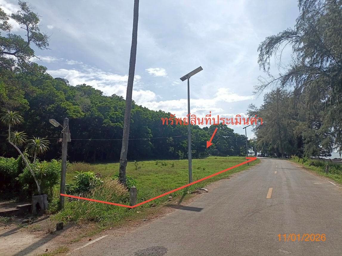 ขายที่ดินเปล่า ปะเหลียน ตรัง ทำเลตะเสะ เนื้อที่กว้าง 20 ไร่ ราคาดี บรรยากาศชายฝั่งทะเล เหมาะพัฒนาโครงการและเกษตรกรรม