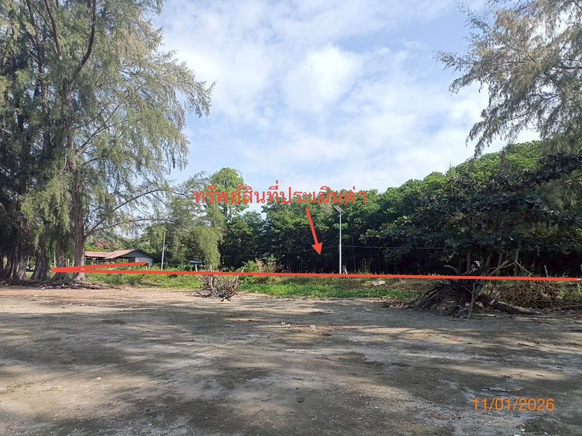 ขายที่ดินเปล่า ปะเหลียน ตรัง ทำเลตะเสะ เนื้อที่กว้าง 20 ไร่ ราคาดี บรรยากาศชายฝั่งทะเล เหมาะพัฒนาโครงการและเกษตรกรรม