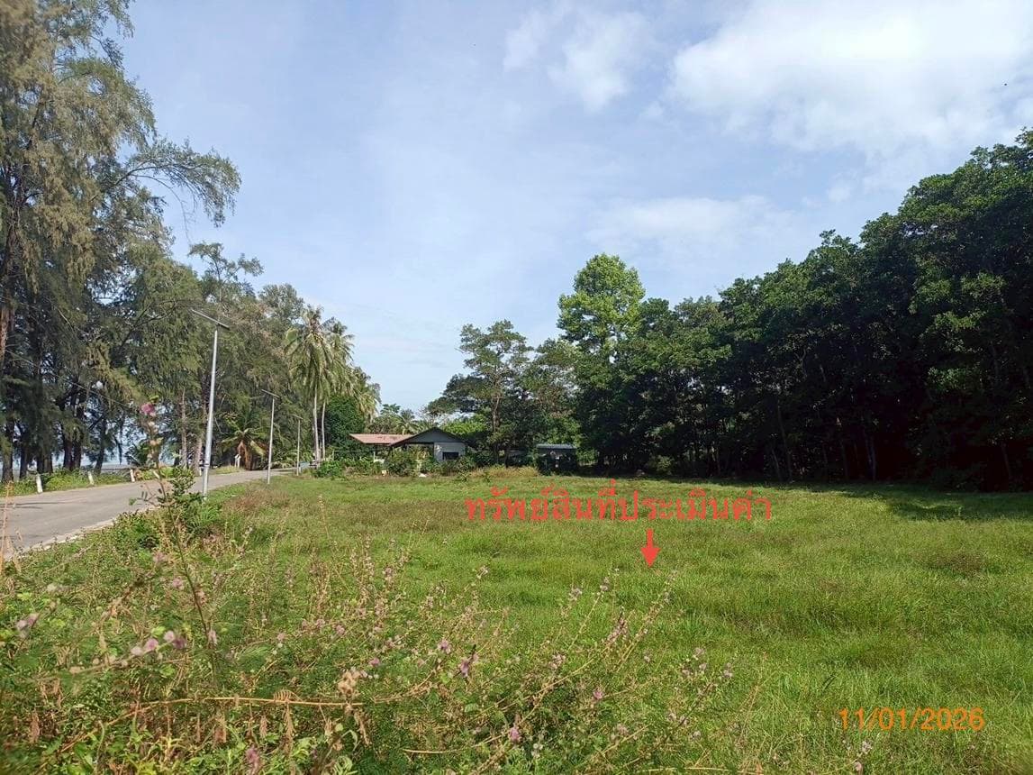 ขายที่ดินเปล่า ปะเหลียน ตรัง ทำเลตะเสะ เนื้อที่กว้าง 20 ไร่ ราคาดี บรรยากาศชายฝั่งทะเล เหมาะพัฒนาโครงการและเกษตรกรรม
