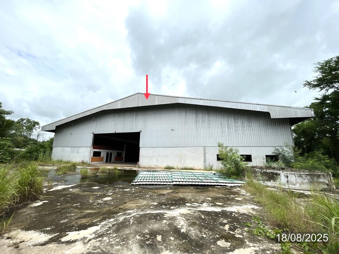 ขายโกดัง วังหลุม ตะพานหิน พิจิตร พื้นที่ 21 ตร.ว. พื้นที่ใช้สอย 2592 ตร.ม. 1 ห้องน้ำ