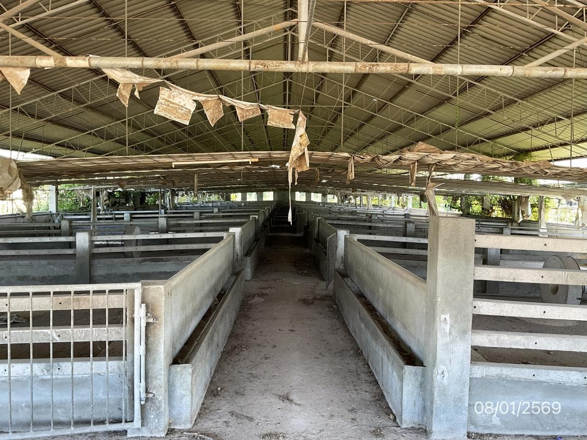 ขายฟาร์มเลี้ยงสัตว์ นำ้พุ เมืองราชบุรี พื้นที่ใช้สอย 1,190 ตร.ม. บนเนื้อที่ 92 ไร่ ทำเลศักยภาพเพื่อธุรกิจเกษตรกรรมครบวงจรนั่นเอง