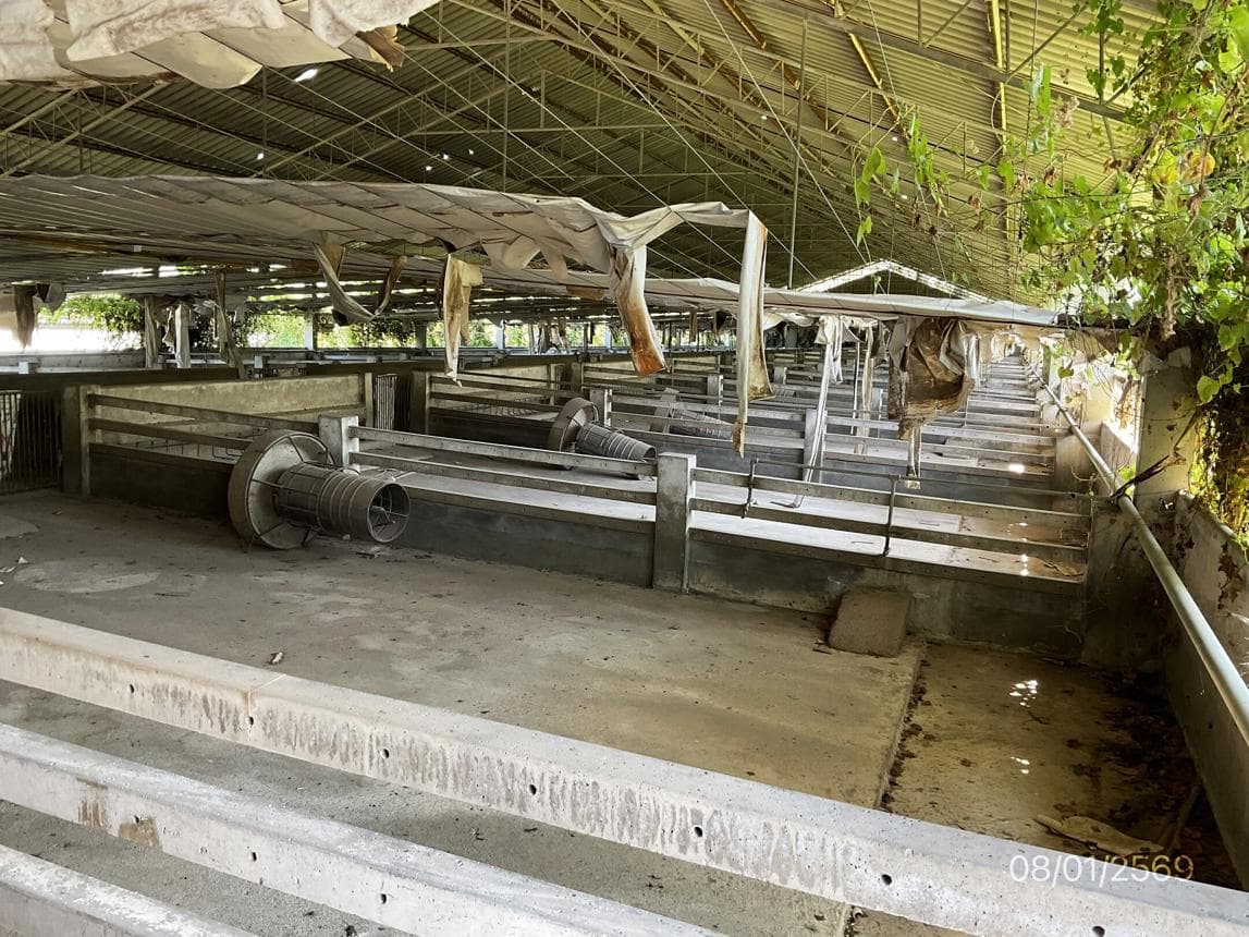 ขายฟาร์มเลี้ยงสัตว์ นำ้พุ เมืองราชบุรี พื้นที่ใช้สอย 1,190 ตร.ม. บนเนื้อที่ 92 ไร่ ทำเลศักยภาพเพื่อธุรกิจเกษตรกรรมครบวงจรนั่นเอง