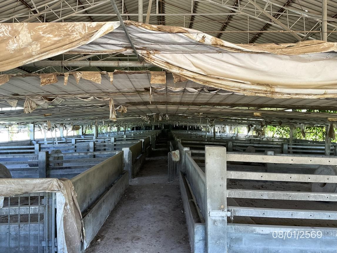 ขายฟาร์มเลี้ยงสัตว์ นำ้พุ เมืองราชบุรี พื้นที่ใช้สอย 1,190 ตร.ม. บนเนื้อที่ 92 ไร่ ทำเลศักยภาพเพื่อธุรกิจเกษตรกรรมครบวงจรนั่นเอง