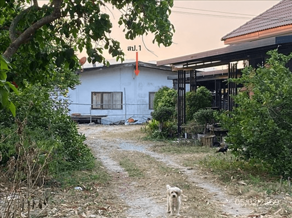 ขายบ้านเดี่ยว คลองกิ่ว บ้านบึง ชลบุรี พื้นที่ดิน 96 ตร.ว. 3 ห้องนอน ทำเลเด่น สเปซกว้างขวาง