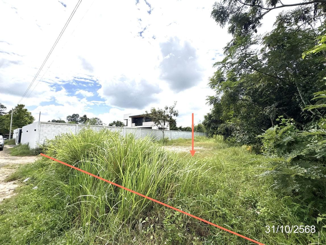 ที่ดินว่างเปล่า ขามใหญ่ เมืองอุบลราชธานี ทำเลศักยภาพ เหมาะสำหรับสร้างบ้านพักอาศัยหรือลงทุน เดินทางสะดวก ราคาคุ้มค่า