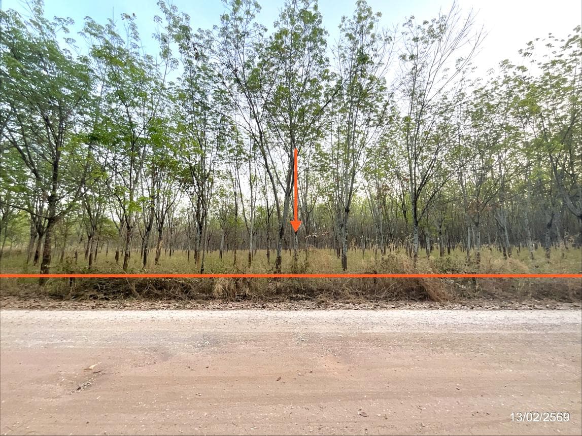 ที่ดินทำเลศักยภาพ โนนสะอาด ศรีบุญเรือง หนองบัวลำภู