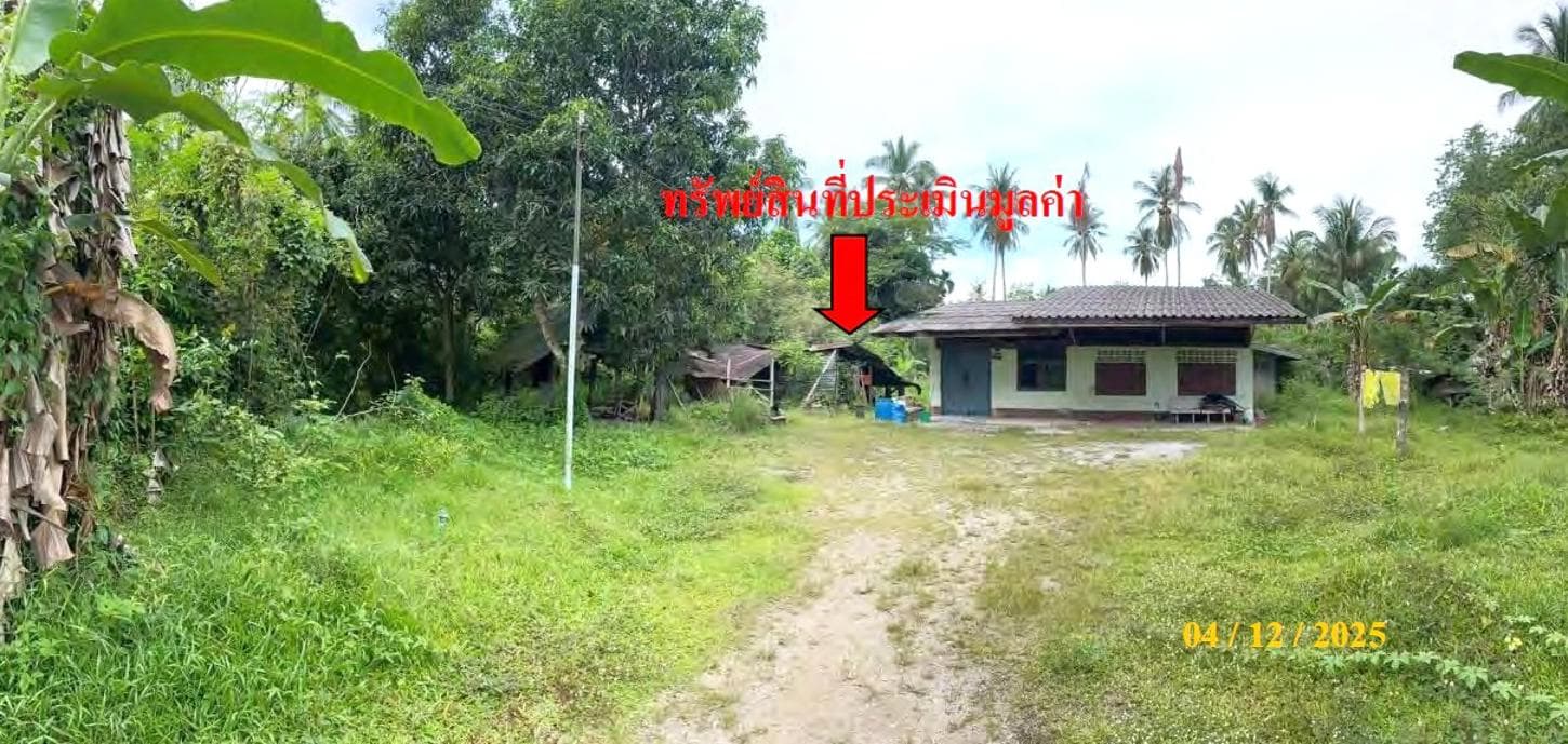 บ้านเดี่ยว ลำใหม่ เมืองยะลา 2 ห้องนอน 1 ห้องน้ำ พื้นที่ใช้สอย 202 ตร.ม. บนที่ดิน 43 ตร.ว. พื้นที่กว้างขวาง ราคาคุ้มค่า
