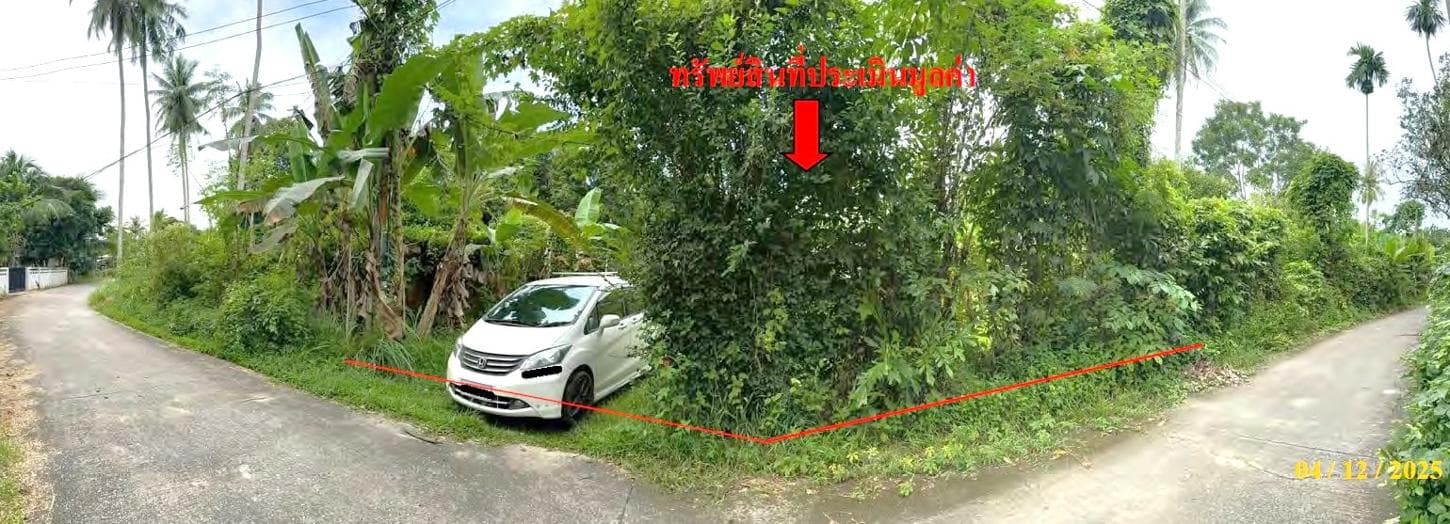 บ้านเดี่ยว ลำใหม่ เมืองยะลา 2 ห้องนอน 1 ห้องน้ำ พื้นที่ใช้สอย 202 ตร.ม. บนที่ดิน 43 ตร.ว. พื้นที่กว้างขวาง ราคาคุ้มค่า