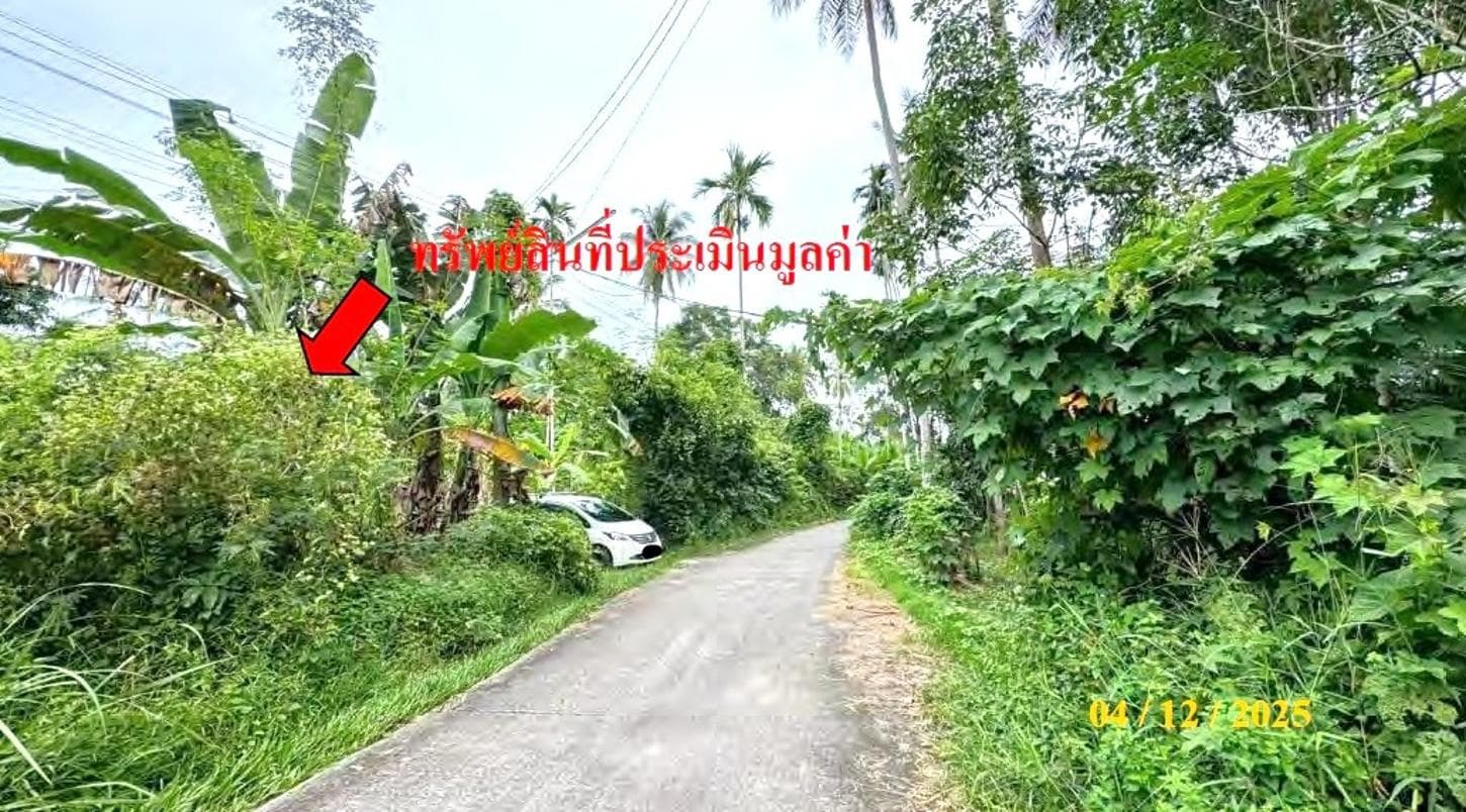 บ้านเดี่ยว ลำใหม่ เมืองยะลา 2 ห้องนอน 1 ห้องน้ำ พื้นที่ใช้สอย 202 ตร.ม. บนที่ดิน 43 ตร.ว. พื้นที่กว้างขวาง ราคาคุ้มค่า