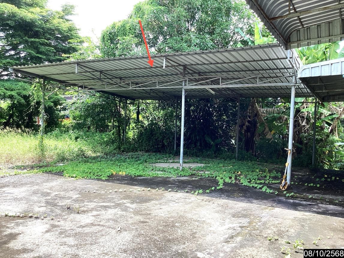 บ้านเดี่ยว 3 ห้องนอน พื้นที่กว้าง 75 ตร.ว. ทำเลปากปวน วังสะพุง เลย บรรยากาศเป็นส่วนตัว