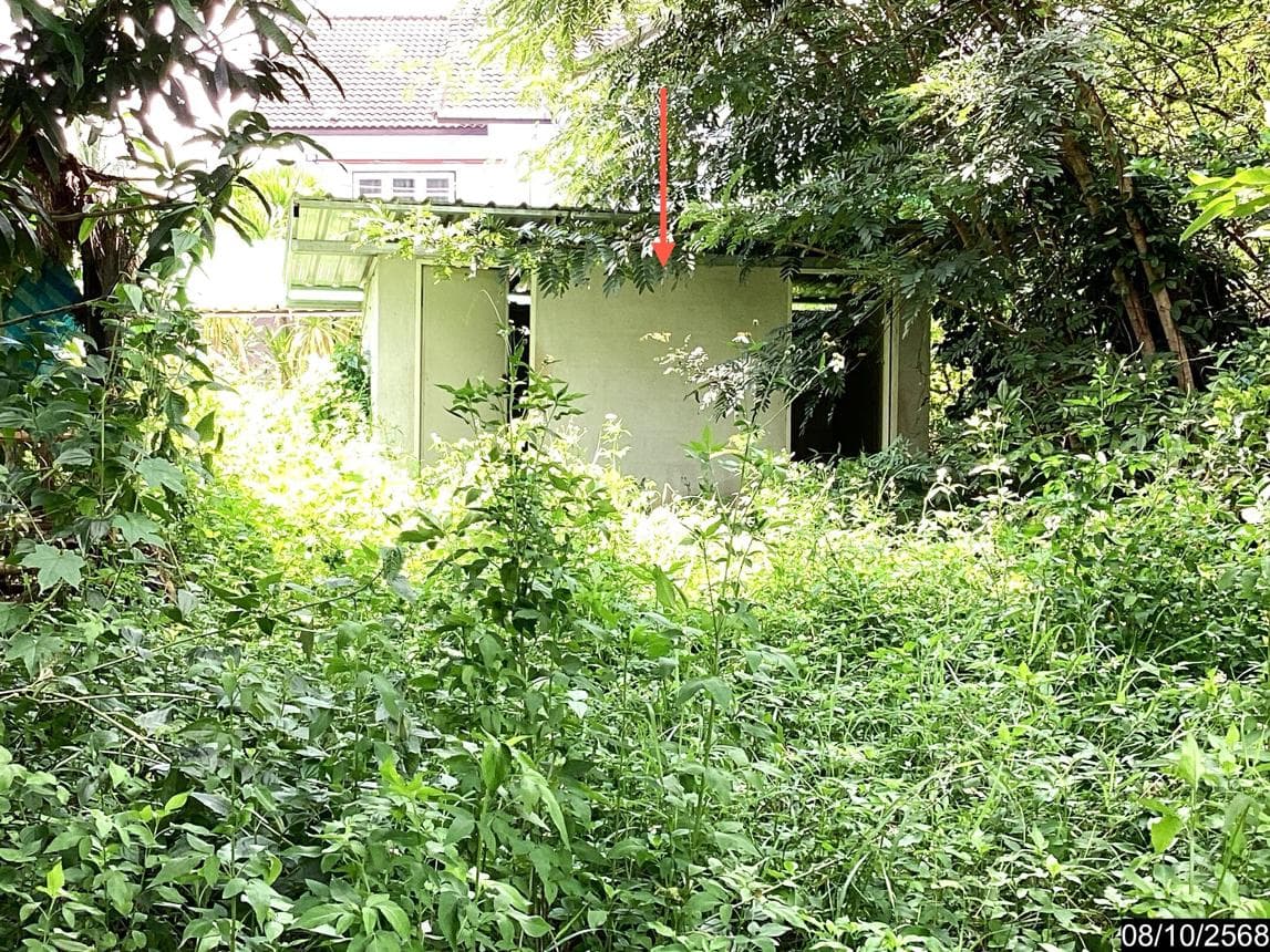 บ้านเดี่ยว 3 ห้องนอน พื้นที่กว้าง 75 ตร.ว. ทำเลปากปวน วังสะพุง เลย บรรยากาศเป็นส่วนตัว