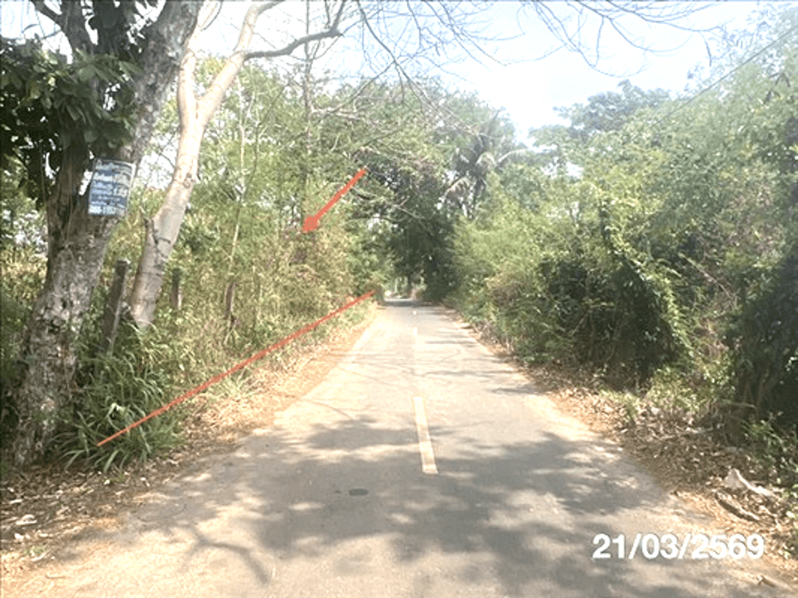 ขายที่ดินว่างเปล่า ม่วงสามสิบ อุบลราชธานี เนื้อที่ 50 ตร.ว. ทำเลศักยภาพ เหมาะลงทุนและสร้างบ้าน