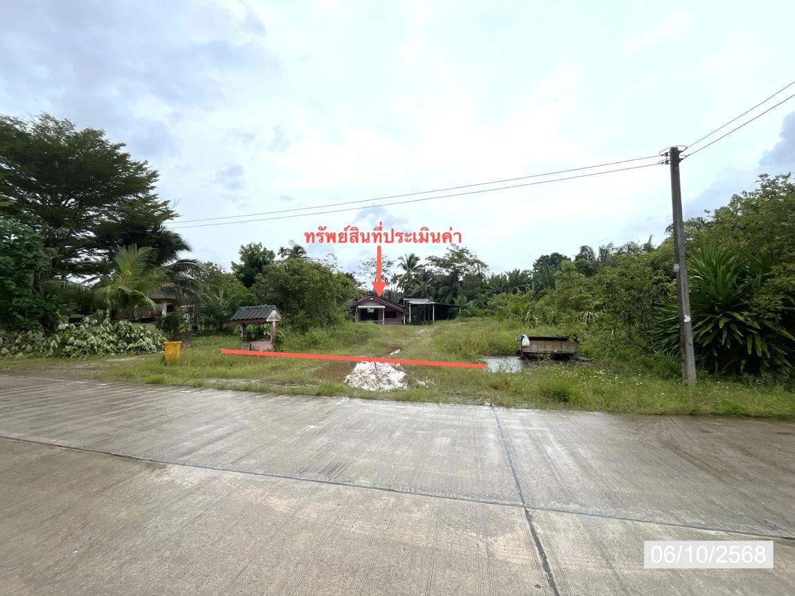 ขายบ้านเดี่ยว ชัยบุรี สุราษฎร์ธานี ทำเลสองแพรก เนื้อที่ 93 ตร.ว. พื้นที่ใช้สอย 122.5 ตร.ม. 2 ห้องนอน 1 ห้องน้ำ สภาพดี พร้อมอยู่