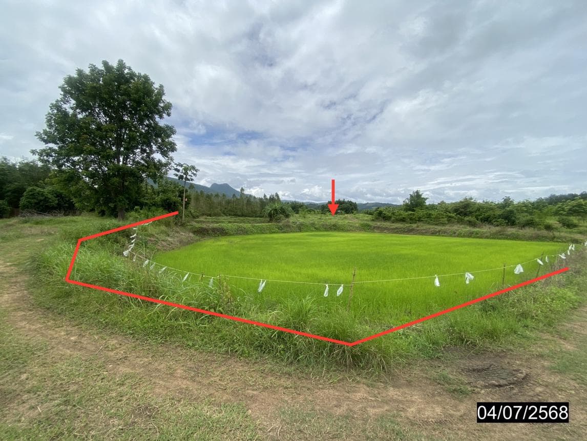 ที่ดินว่างเปล่า เนื้อที่ 71.0 ตร.ว. ทำเลศักยภาพ อาฮี ท่าลี่ เลย