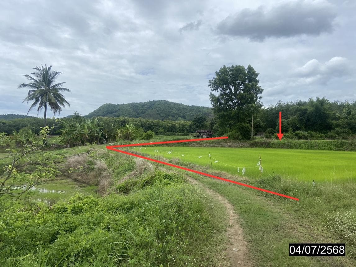 ที่ดินว่างเปล่า เนื้อที่ 71.0 ตร.ว. ทำเลศักยภาพ อาฮี ท่าลี่ เลย