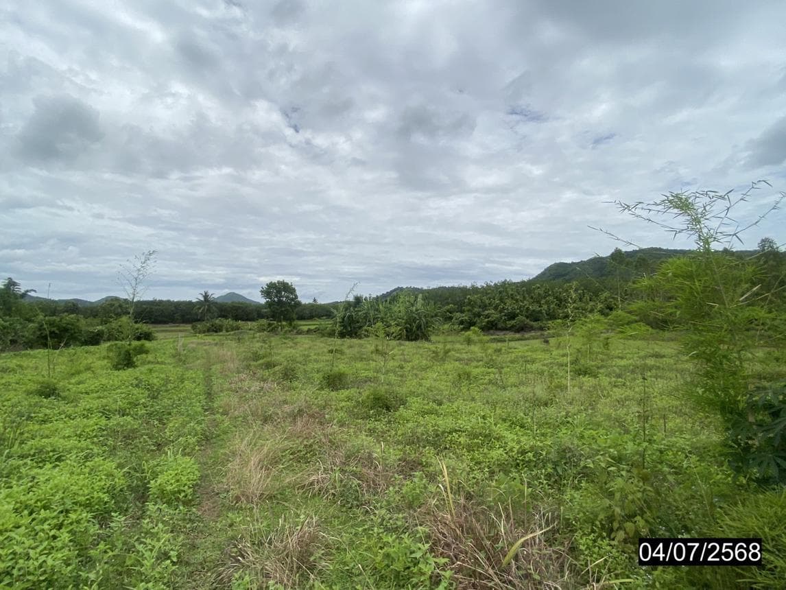 ที่ดินว่างเปล่า เนื้อที่ 71.0 ตร.ว. ทำเลศักยภาพ อาฮี ท่าลี่ เลย