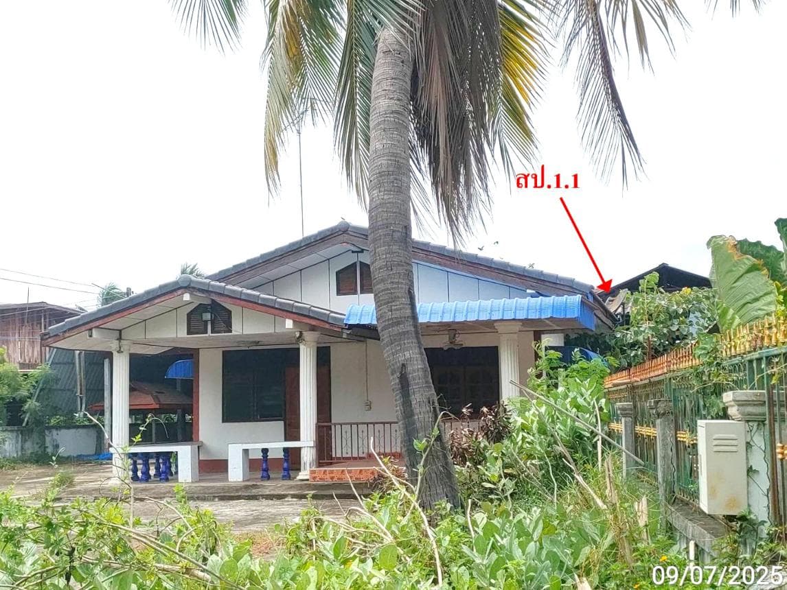 บ้านเดี่ยว หนองไผ่ นาดูน มหาสารคาม 2 ห้องนอน 2 ห้องน้ำ บนพื้นที่ 85 ตร.ว. ราคาไม่ถึง 2 ล้าน