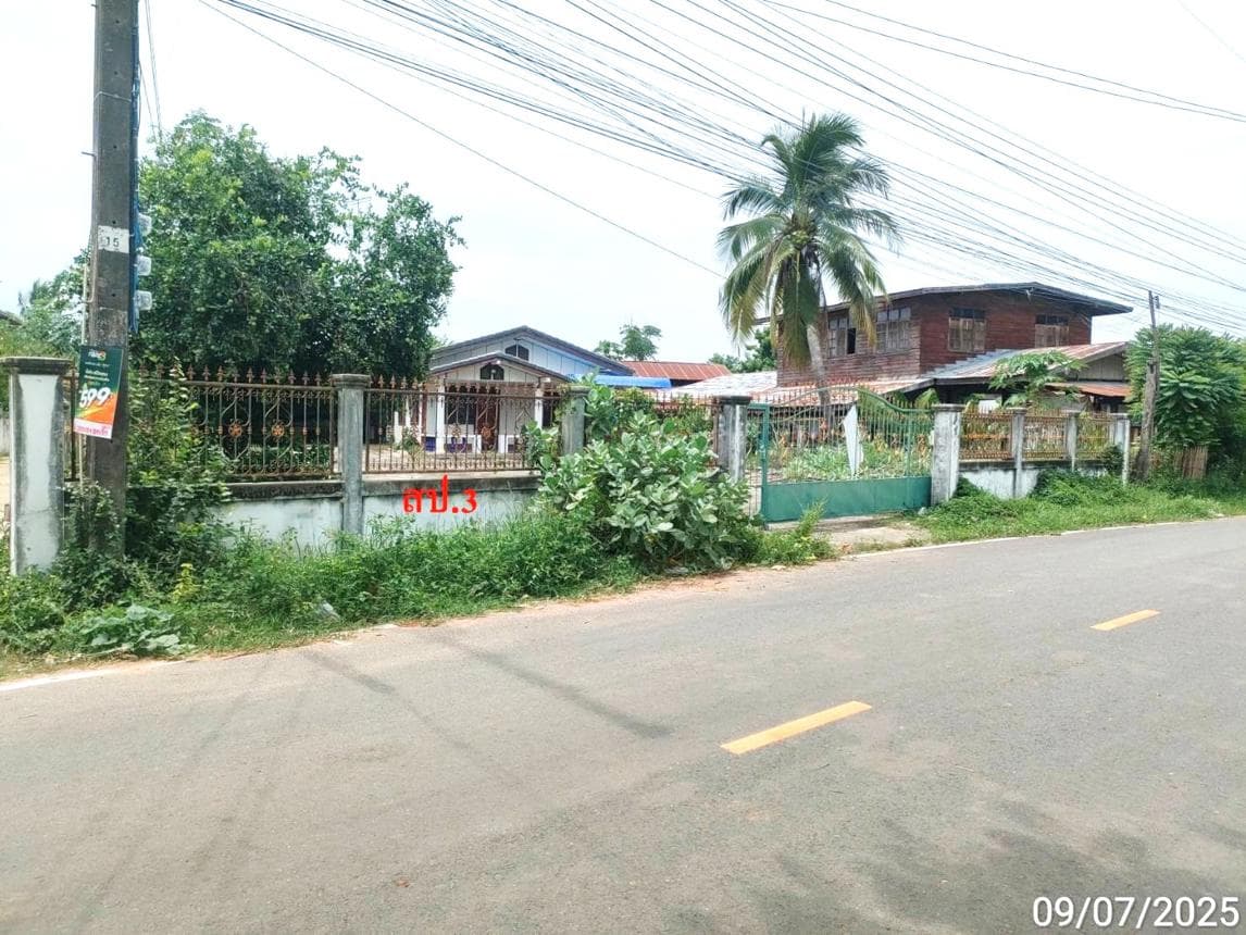 บ้านเดี่ยว หนองไผ่ นาดูน มหาสารคาม 2 ห้องนอน 2 ห้องน้ำ บนพื้นที่ 85 ตร.ว. ราคาไม่ถึง 2 ล้าน