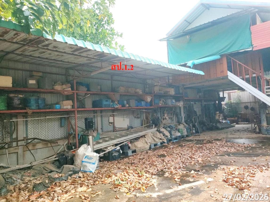 บ้านเดี่ยว 2 ห้องนอน 1 ห้องน้ำ พื้นที่ 142 ตร.ม. บนเนื้อที่กว้าง 79 ตร.ว. ทำเลสงบ โพธิ์ศรีสว่าง โพนทอง จ.ร้อยเอ็ด