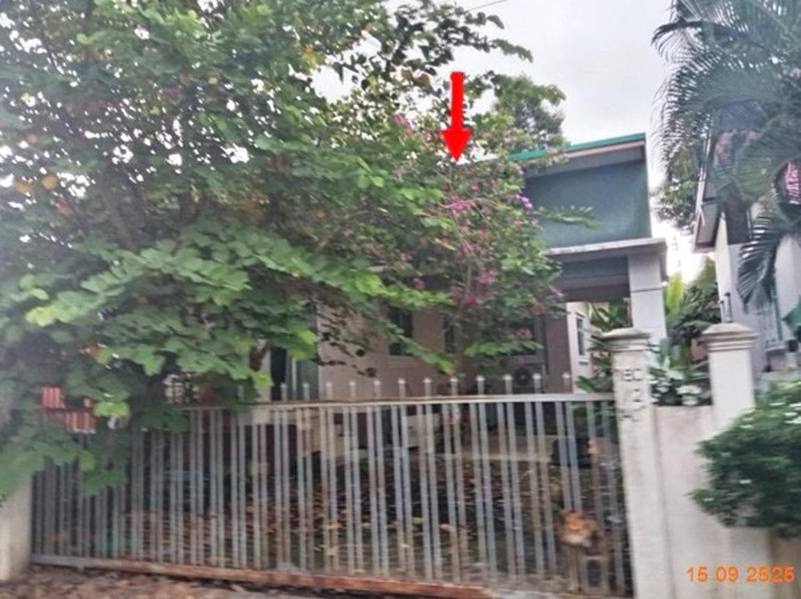 บ้านเดี่ยว บ้านยางโมเดิร์น บ้านยาง เมืองบุรีรัมย์ บุรีรัมย์ 3 ห้องนอน 2 ห้องน้ำ พื้นที่กว้าง 123.75 ตร.ม. บนที่ดิน 62 ตร.ว. ทำเลสงบเดินทางเข้าเมืองสะดวก ราคาพิเศษ 1.75 ล้าน