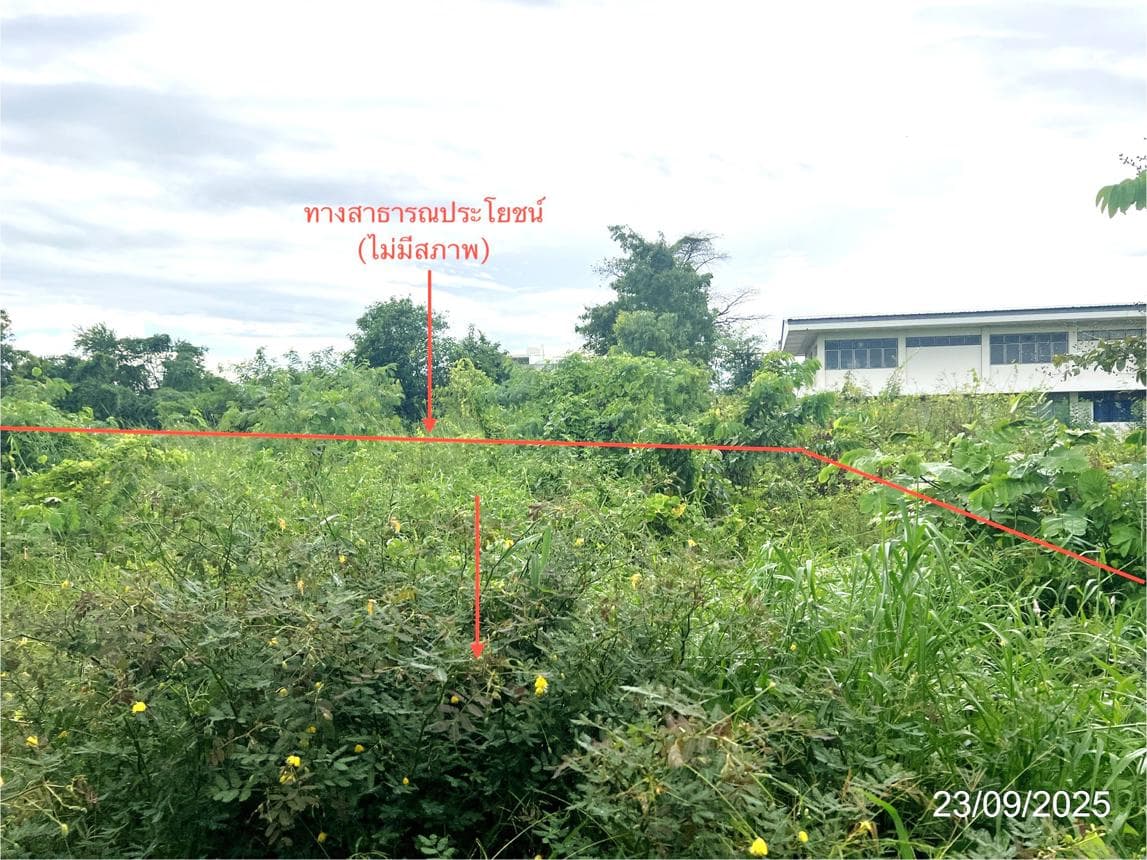 ขายที่ดินเปล่า พรานกระต่าย กำแพงเพชร ทำเลศักยภาพ พื้นที่ 59 ตร.ว.