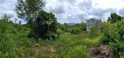 อาคาร บ้านศรีบุญเรือง ลี้-ลำพูน