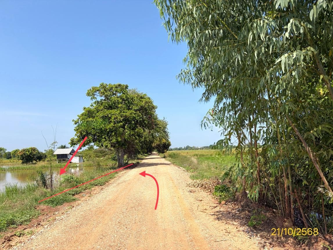ที่ดินเปล่าทำเลศักยภาพ 45 ตร.ว. ต.มะตูม อ.พรหมพิราม พิษณุโลก เหมาะสำหรับสร้างที่อยู่อาศัย