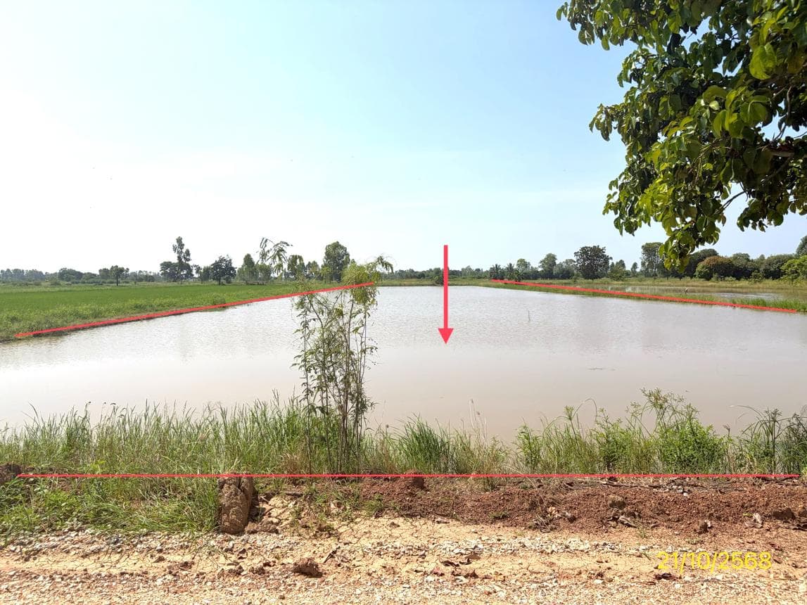 ที่ดินเปล่าทำเลศักยภาพ 45 ตร.ว. ต.มะตูม อ.พรหมพิราม พิษณุโลก เหมาะสำหรับสร้างที่อยู่อาศัย