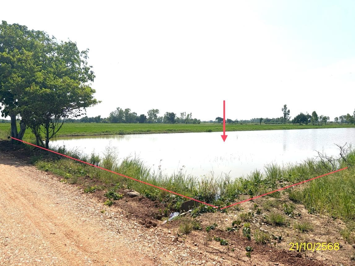ที่ดินเปล่าทำเลศักยภาพ 45 ตร.ว. ต.มะตูม อ.พรหมพิราม พิษณุโลก เหมาะสำหรับสร้างที่อยู่อาศัย