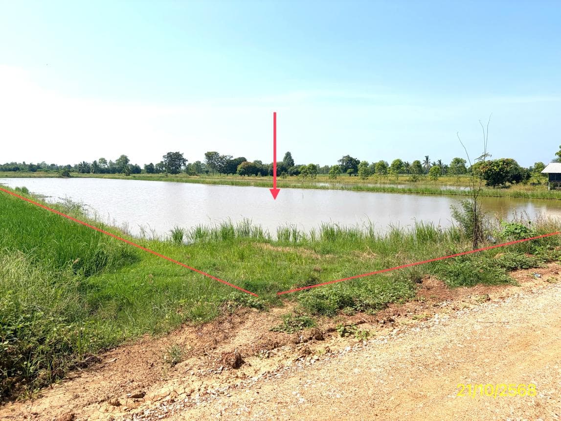 ที่ดินเปล่าทำเลศักยภาพ 45 ตร.ว. ต.มะตูม อ.พรหมพิราม พิษณุโลก เหมาะสำหรับสร้างที่อยู่อาศัย