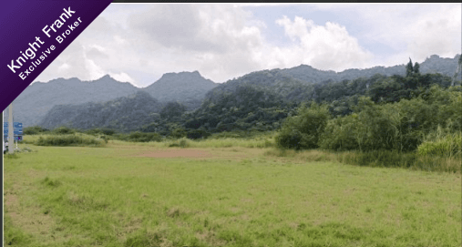 ที่ดินว่างเปล่า ปากช่อง-นครราชสีมา