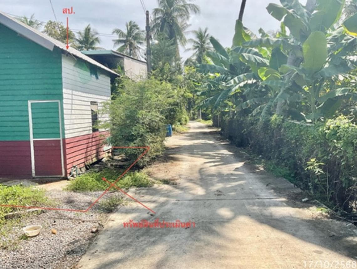 บ้านเดี่ยว หนองกระเจ็ด บ้านลาด เพชรบุรี 1 ห้องนอน 1 ห้องน้ำ พื้นที่ 49 ตร.ม. บนที่ดิน 87 ตร.ว. ทำเลสงบ วิถีธรรมชาติ ราคาไม่ถึงสี่แสน
