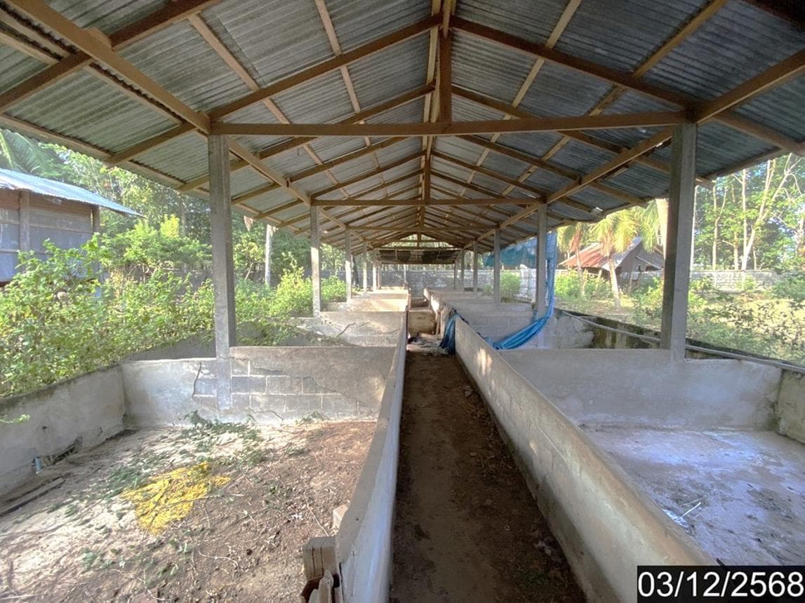บ้านเดี่ยว นาม่วง ประจักษ์ศิลปาคม อุดรธานี 3 ห้องนอน 1 ห้องน้ำ พื้นที่ 205.6 ตร.ม. บนเนื้อที่ 62 ตร.ว. ทำเลสงบเป็นส่วนตัว