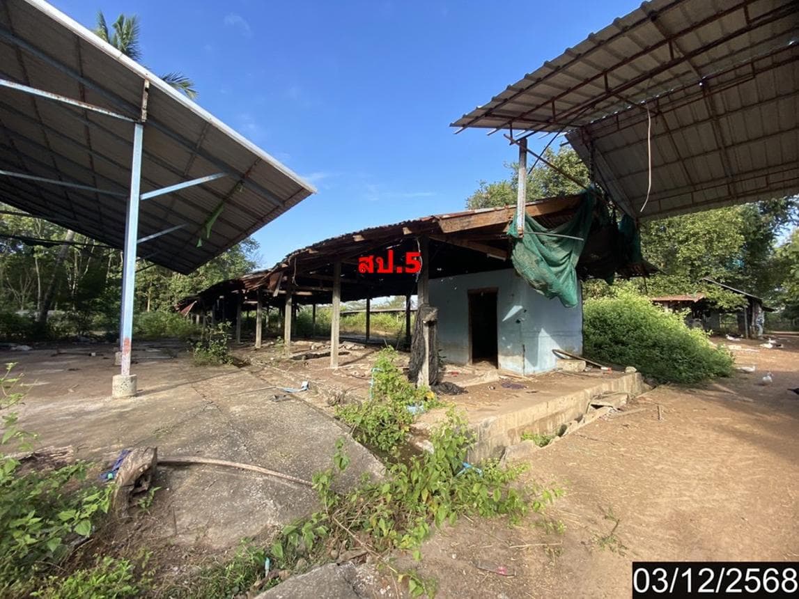 บ้านเดี่ยว นาม่วง ประจักษ์ศิลปาคม อุดรธานี 3 ห้องนอน 1 ห้องน้ำ พื้นที่ 205.6 ตร.ม. บนเนื้อที่ 62 ตร.ว. ทำเลสงบเป็นส่วนตัว