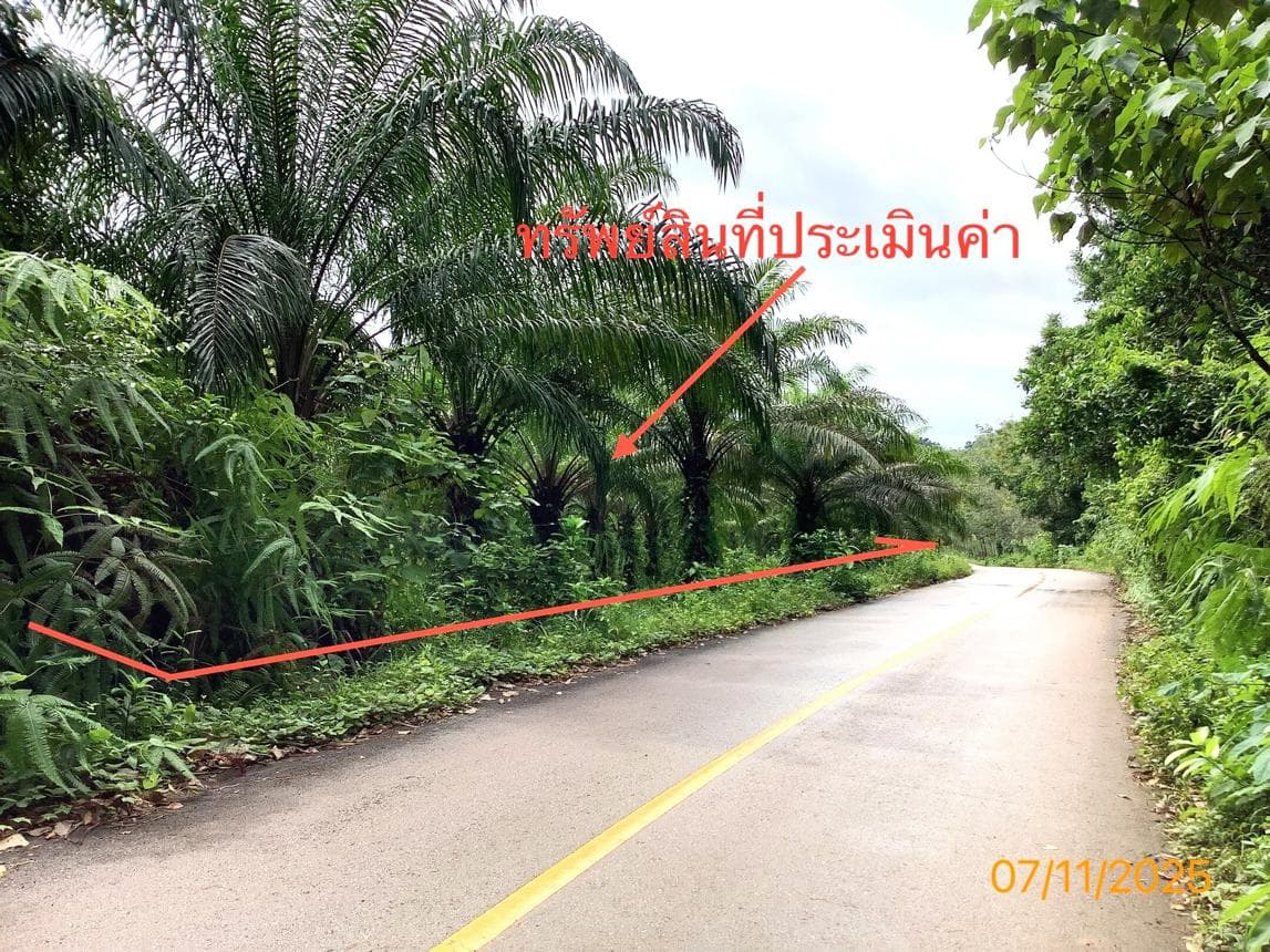 ที่ดินว่างเปล่า ทำเลศักยภาพ ปะเหลียน ปะเหลียน ตรัง