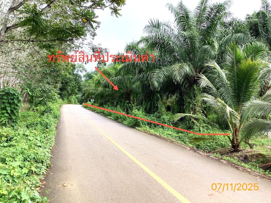 ที่ดินว่างเปล่า ทำเลศักยภาพ ปะเหลียน ปะเหลียน ตรัง