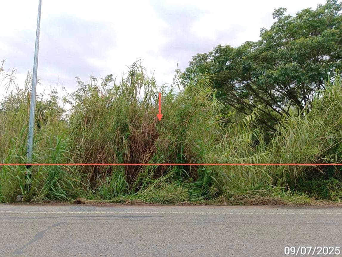 ขายที่ดินเปล่า ตะพานหิน พิจิตร ทำเลงิ้วราย เนื้อที่ 86 ไร่ เหมาะสำหรับทำการเกษตรหรือลงทุน