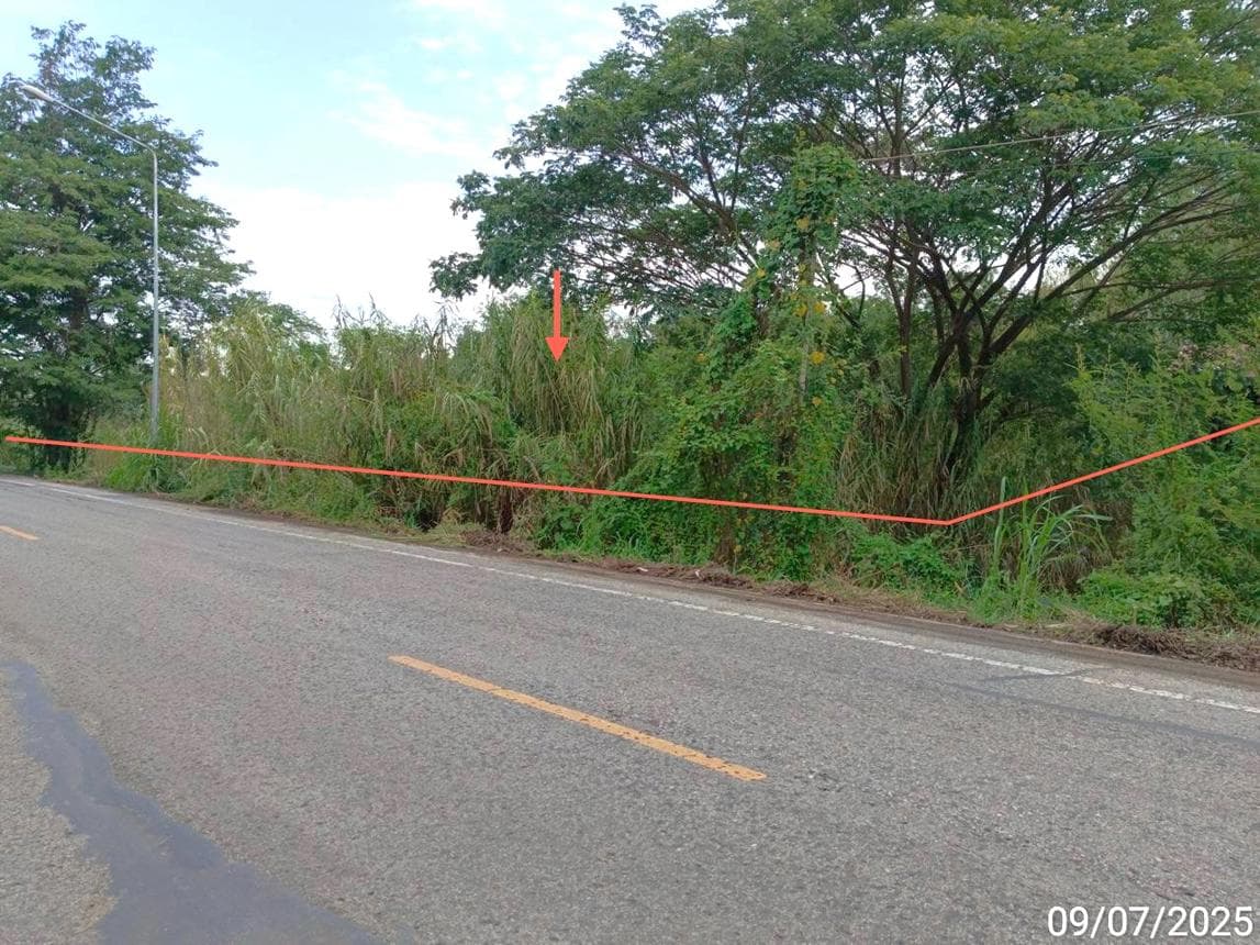 ขายที่ดินเปล่า ตะพานหิน พิจิตร ทำเลงิ้วราย เนื้อที่ 86 ไร่ เหมาะสำหรับทำการเกษตรหรือลงทุน